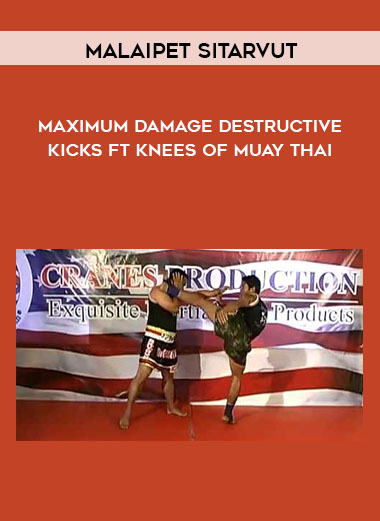 Maximum Damage - Destructive Kicks & Kness of Muay Thai with Malaipet digital download