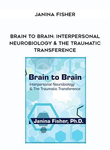 Brain to Brain: Interpersonal Neurobiology & The Traumatic Transference - Janina Fisher digital download